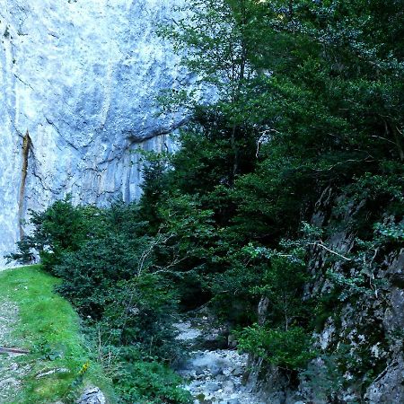 ホテル Palais Cathare Bélesta エクステリア 写真